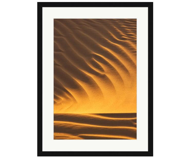 Wild Earth 4 Framed Print With Mount - Desert